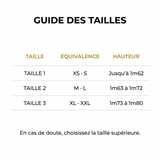 Ailes de Lumière - Abaya Satin Dégradé Manches Batwing